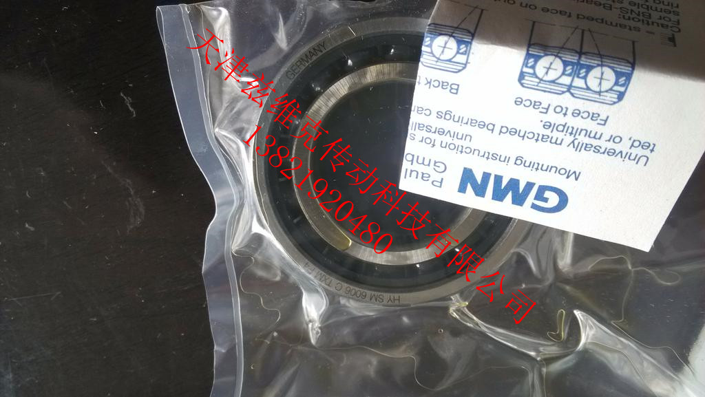 GMN HYSM6006CTXMP4DUL軸承