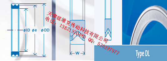 GMNDL65X80X4油封圖紙